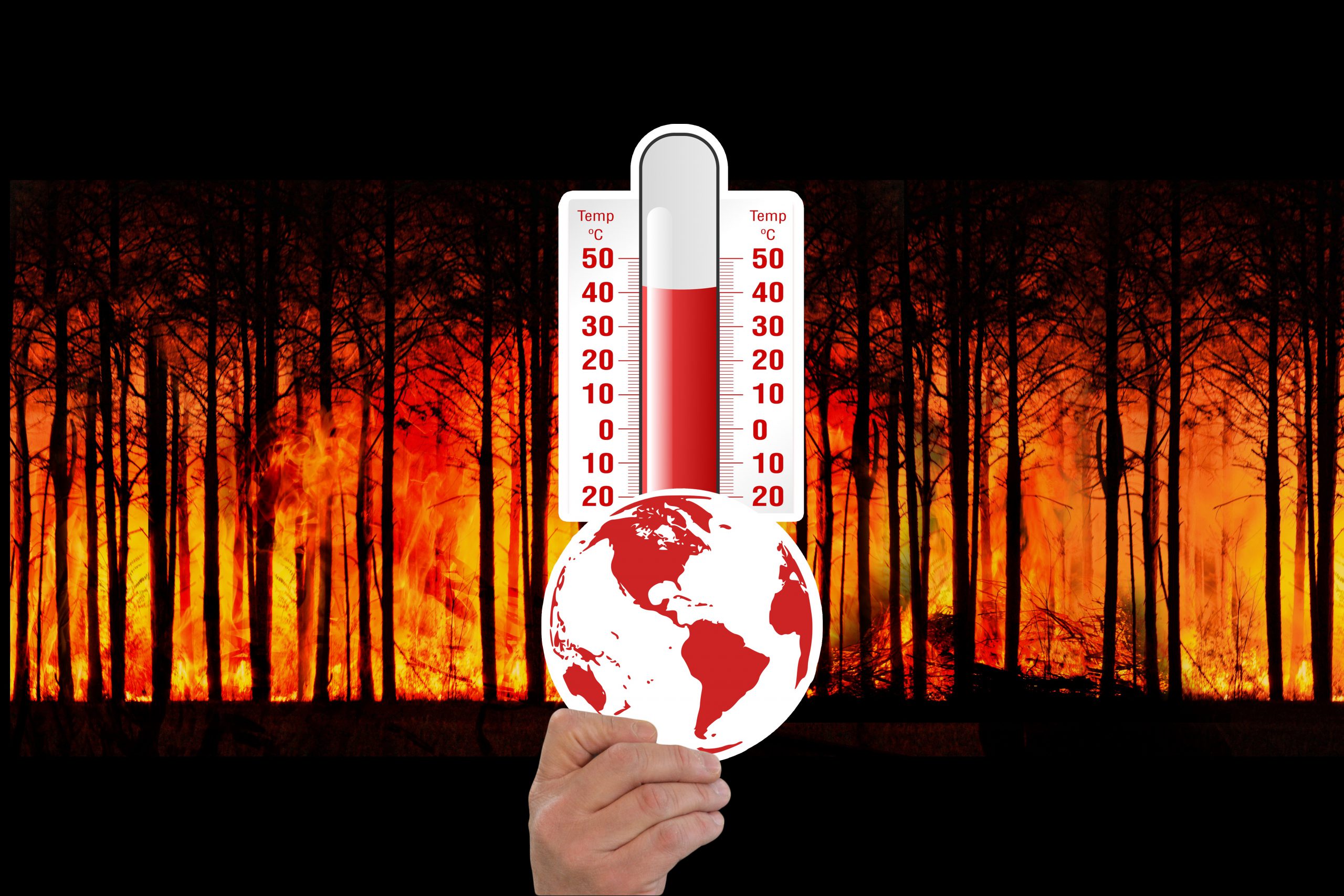 Plan national d’adaptation au changement climatique comment préparer les territoires et les Plan national d’adaptation au changement climatique comment préparer les territoires et les