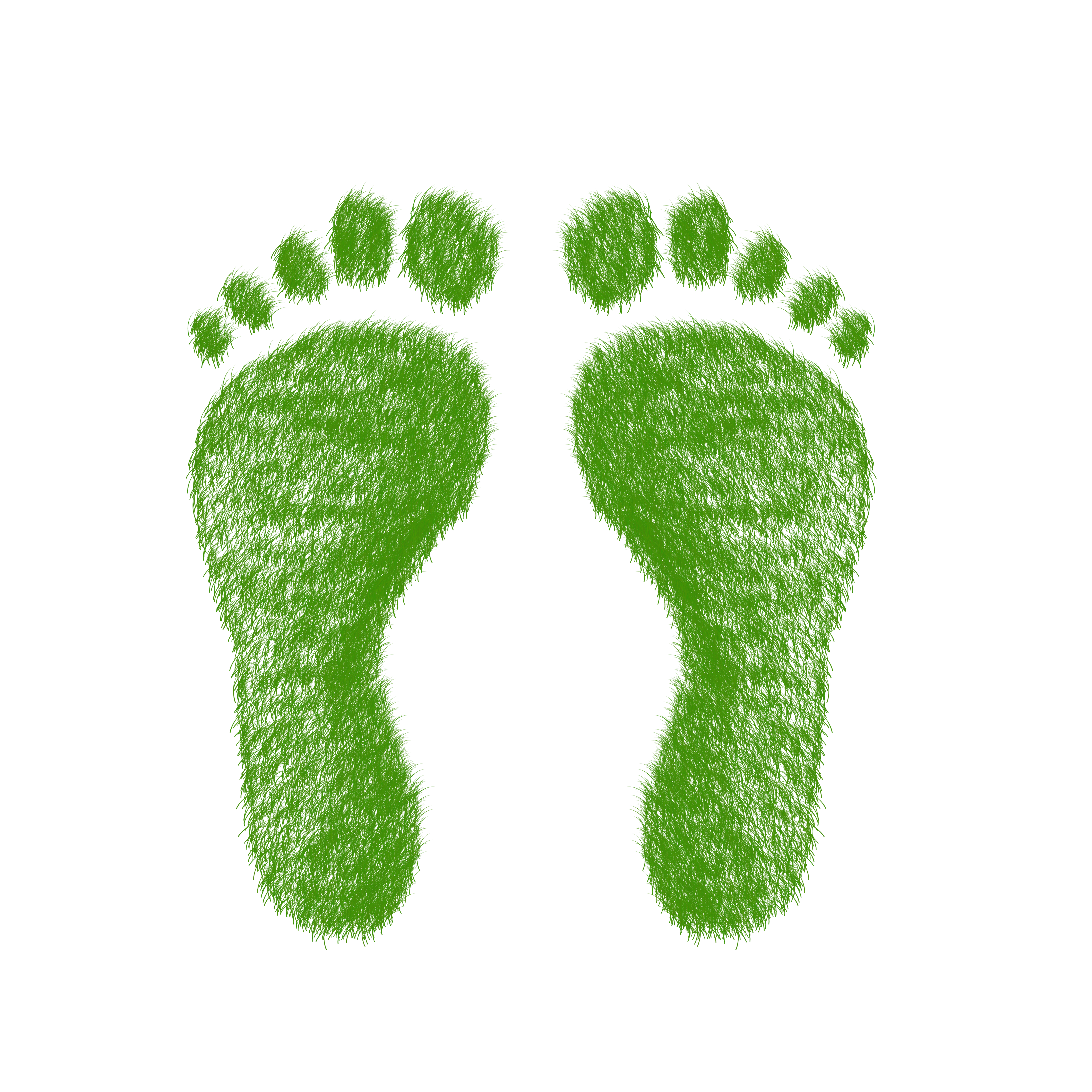 L Empreinte Ecologique Concerne Aussi Les Entreprises Bl Evolution