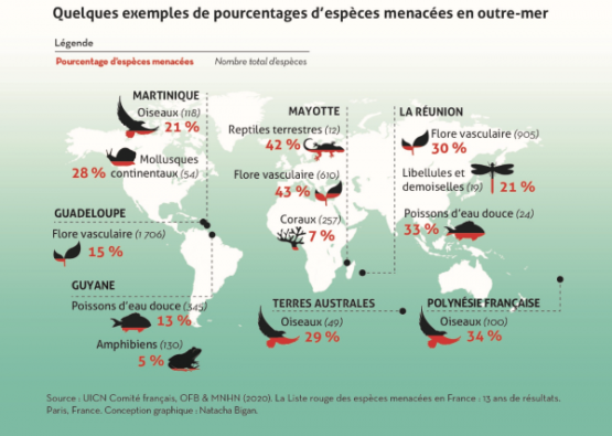 2430 espèces menacées en France selon la Liste rouge : que faire ? - BL ...