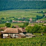 Subventionnez votre transition biodiversité en région Grand Est