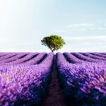 Diagnostic nature de son portefeuille : un incontournable pour les acteurs financiers