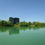 RSE : quand la direction transforme les engagements en impact