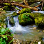facteurs d'érosion de la biodiversité
