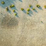 Dangers Climatiques : la France face à ses responsabilités - Rapport annuel du Haut Conseil pour le Climat